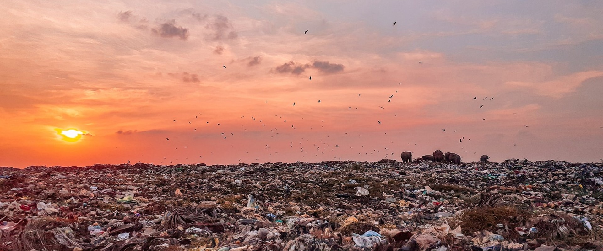 Enhance Real Estate Photography with Clutter-Free Spaces