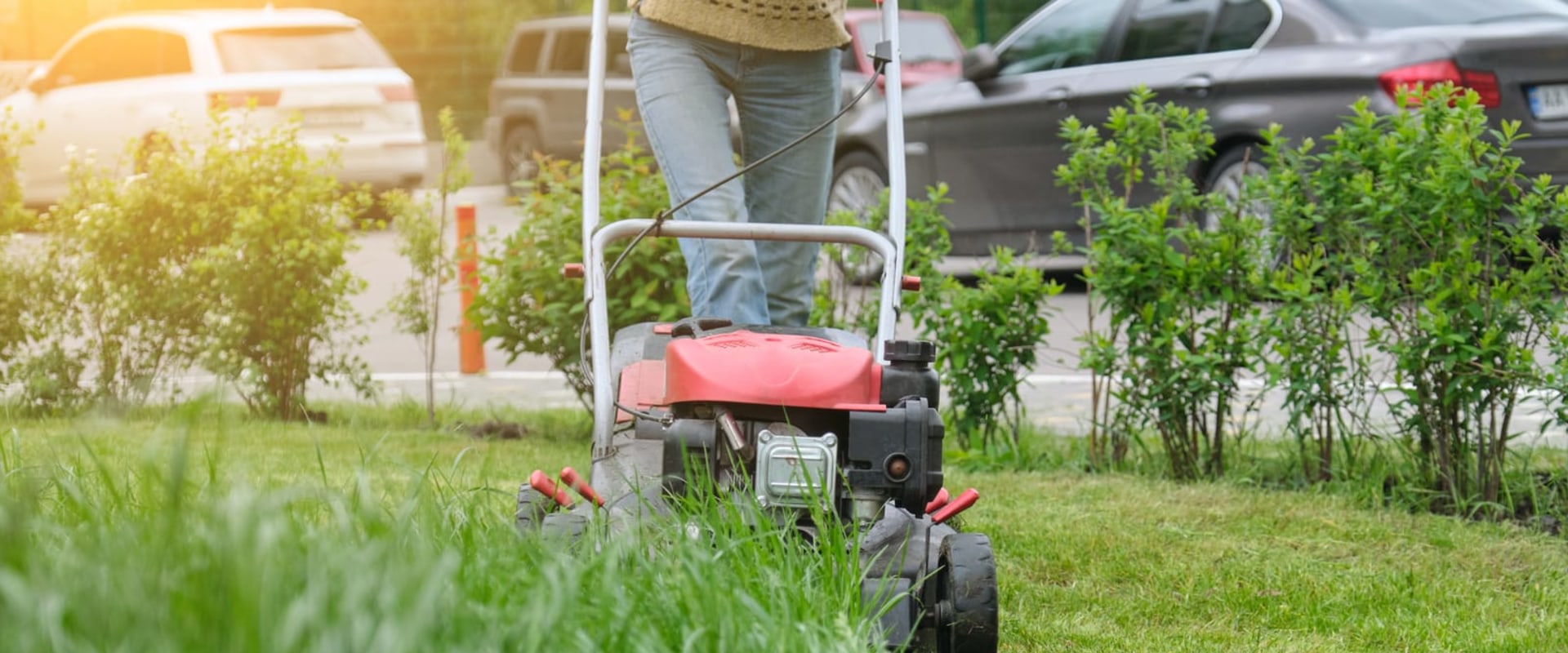 Picture Perfect: Elevating Your Northern Virginia Real Estate Photography With Professional Lawn Mowing Service