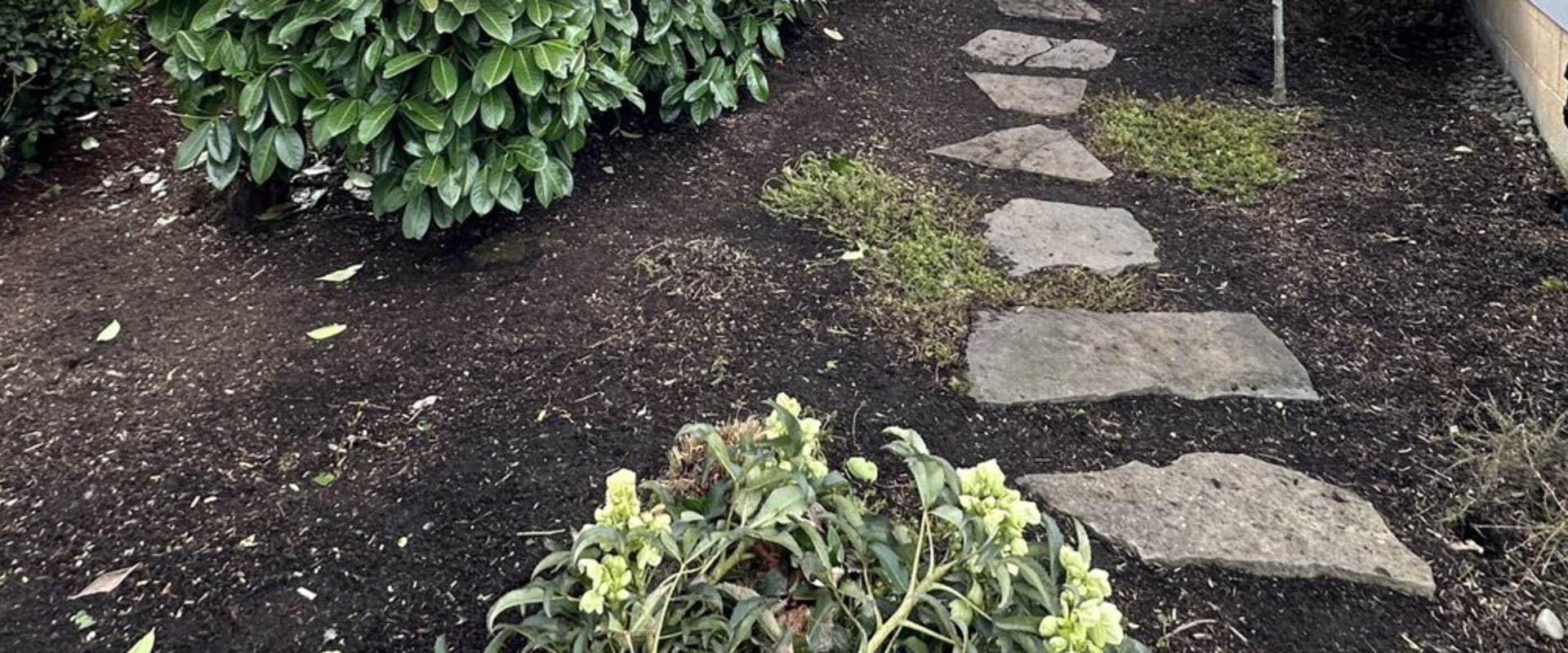 From Weeds To Wow: Landscaping Maintenance In Damascus, OR That Transforms Real Estate Photography