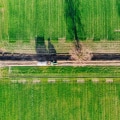 Elevate Property Value with Tree Fertilization in Virginia Beach