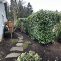 From Weeds To Wow: Landscaping Maintenance In Damascus, OR That Transforms Real Estate Photography