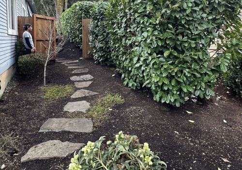 From Weeds To Wow: Landscaping Maintenance In Damascus, OR That Transforms Real Estate Photography